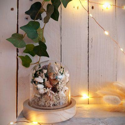 Petit jardin sous verre Chardon