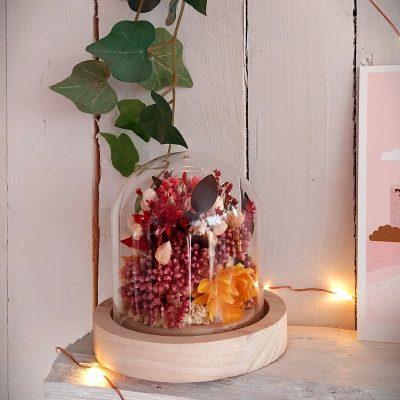 Petit jardin sous verre Diosmi