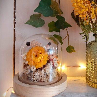 Petit jardin sous verre Hely