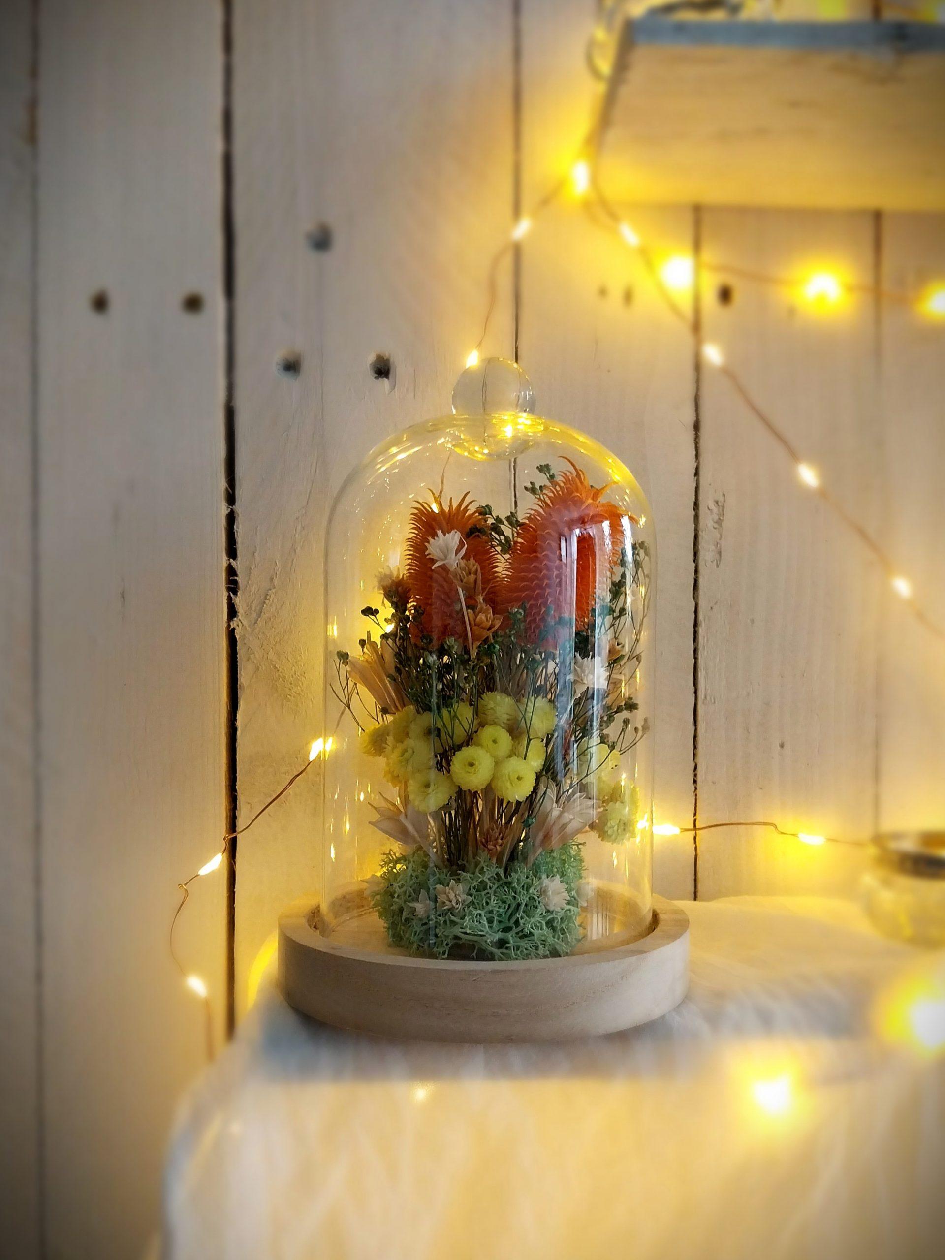 jardin sous verre en fleurs séchées Immortelle décoration bohème