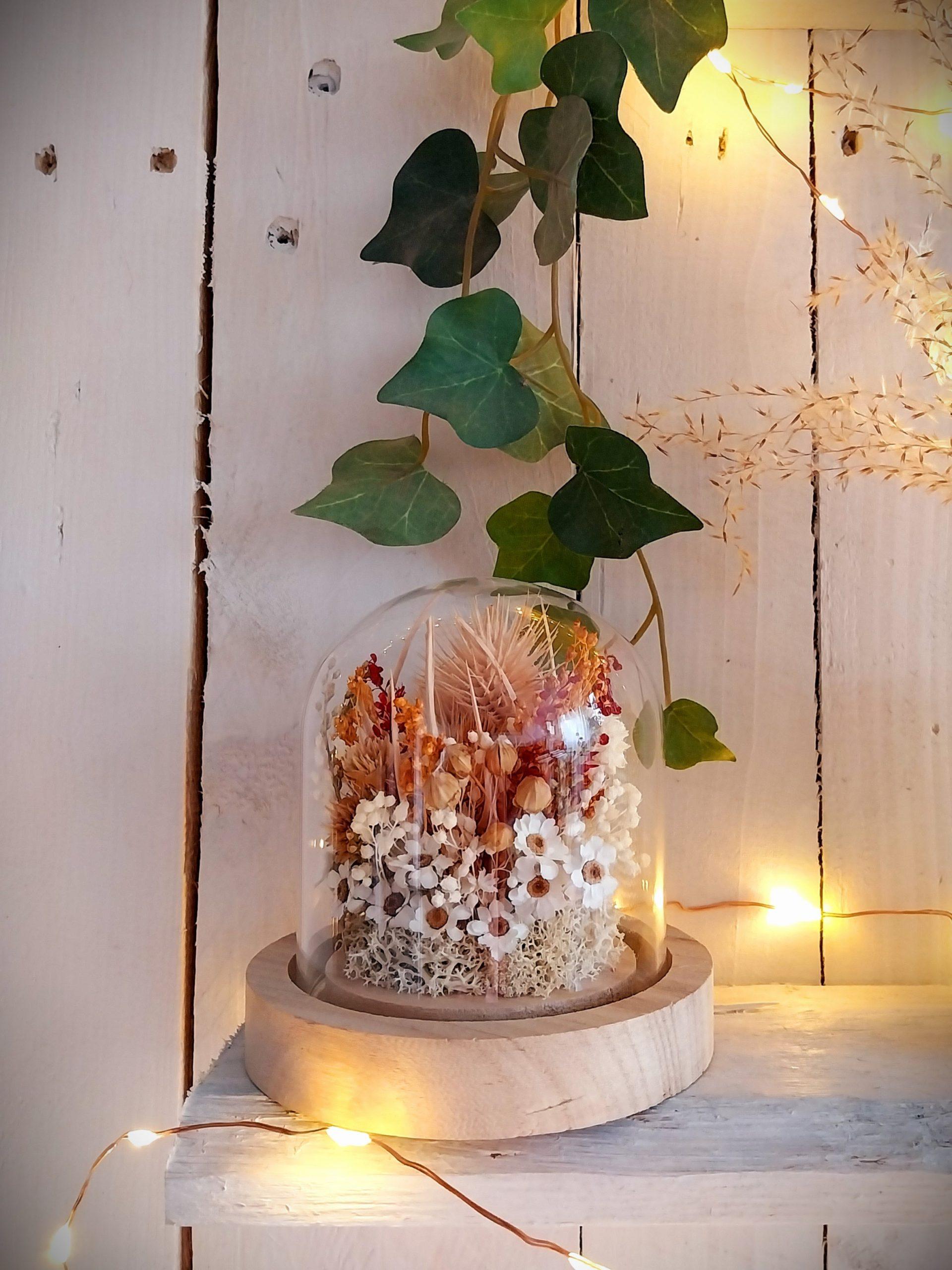 Petit jardin sous verre en fleurs séchées Ixodia décoration de la maison