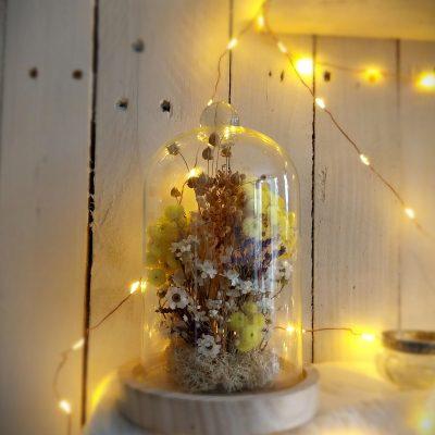 Jardin sous verre Lin