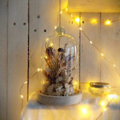 Jardin sous verre Marguerite