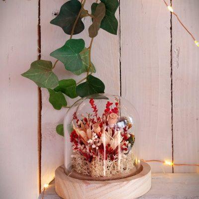 Petit jardin sous verre Nigelle