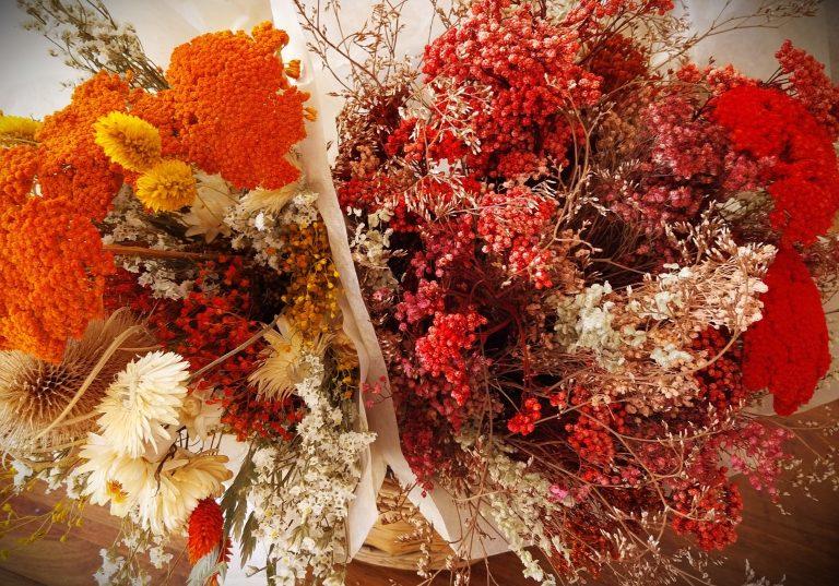 Lire la suite à propos de l’article Quelles fleurs séchées choisir selon la saison ? Guide complet pour une décoration naturelle toute l’année